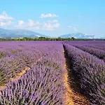 Maison Au Pays Des Lavandes Et De La Vigne *