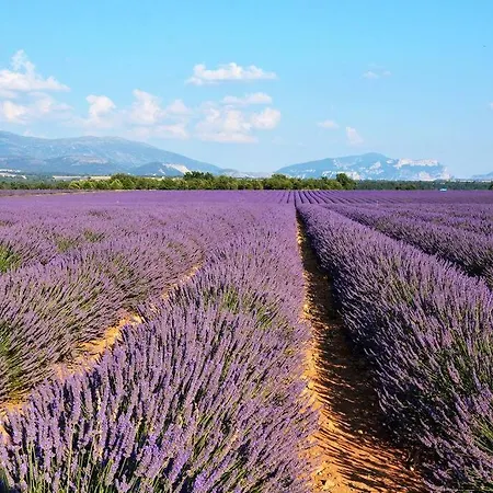 Maison Au Pays Des Lavandes Et De La Vigne *